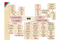 건강문제 mapping폐렴-3