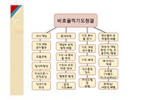 건강문제 mapping폐렴-4