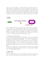 에너지 대사의 트레이닝 효과-2