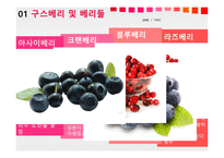자원식물학 구스베리및베리류-4