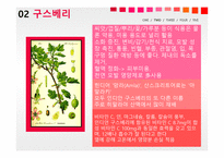 자원식물학 구스베리및베리류-7