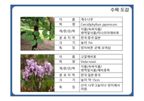 한국 도로공사 수목원1-6