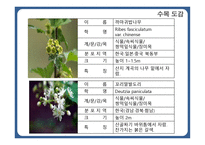 한국 도로공사 수목원1-8