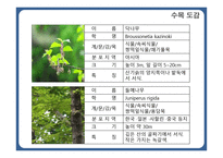 한국 도로공사 수목원1-11