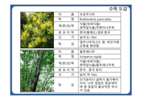 한국 도로공사 수목원1-12
