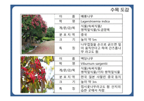 한국 도로공사 수목원1-13