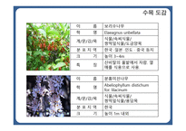 한국 도로공사 수목원1-14