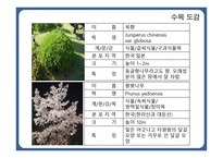 한국 도로공사 수목원1-16