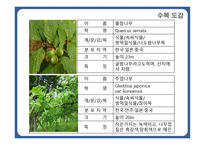 한국 도로공사 수목원1-19