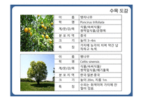한국 도로공사 수목원1-20
