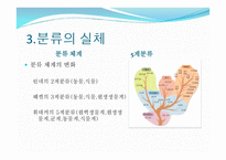 생물의 다양성-6