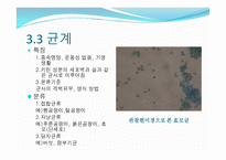 생물의 다양성-10