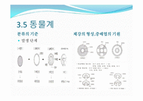 생물의 다양성-14