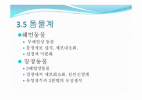 생물의 다양성-15