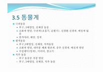 생물의 다양성-18