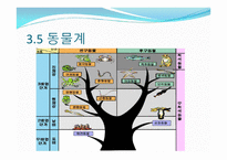 생물의 다양성-19
