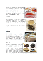 6 대차류와 차의 성분-3