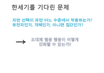 이기적 유전자로 테레사 수녀를 설명할 수 있나 협동의 진화-2
