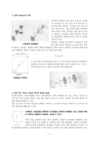 편광이란 무엇인가-2