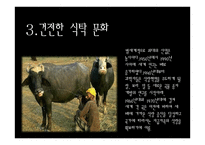 지구환경위기와 생태적 기회-10