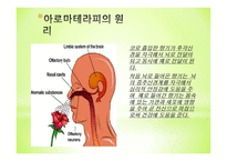 아로마세러피 정의 아로마세러피 원리 아로마 종류 3가지와 효과-4