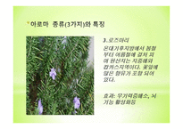 아로마세러피 정의 아로마세러피 원리 아로마 종류 3가지와 효과-7