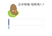 고구마의 이해-1