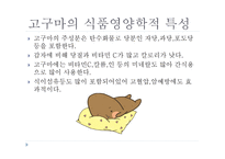고구마의 이해-3