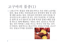 고구마의 이해-5