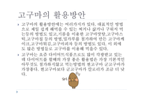 고구마의 이해-8