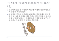 고구마의 이해-9