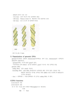 핵산의 이해-3