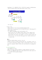 핵산의 이해-7