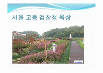 옥상 활용 아이디어-15