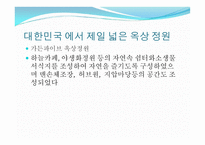 옥상 활용 아이디어-16