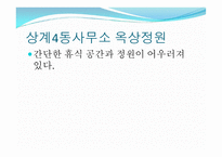 옥상 활용 아이디어-19