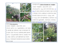 한국 도로 공사 수목원 2-8