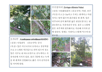 한국 도로 공사 수목원 2-9