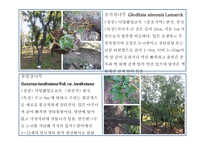 한국 도로 공사 수목원 2-10