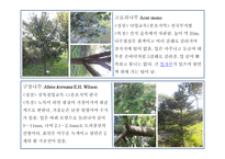 한국 도로 공사 수목원 2-12