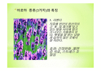아로마세러피-5