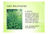 아로마세러피-6