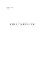 혈액형 분석 및 혈구 세포 관찰-1