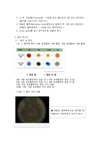혈액형 분석 및 혈구 세포 관찰-4