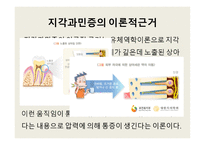 지각과민증 보고서-5