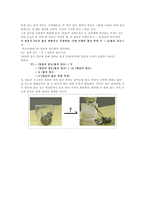 물을 통해 바라본 물질의 세계-6