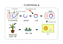 GMO인류를 향한 메스인가 흉기인가-7