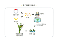 GMO인류를 향한 메스인가 흉기인가-8