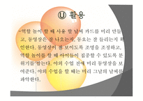 담보물의 물상 대위권-12