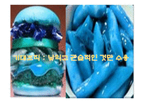 현대 시론 개성론과 몰개성론-11